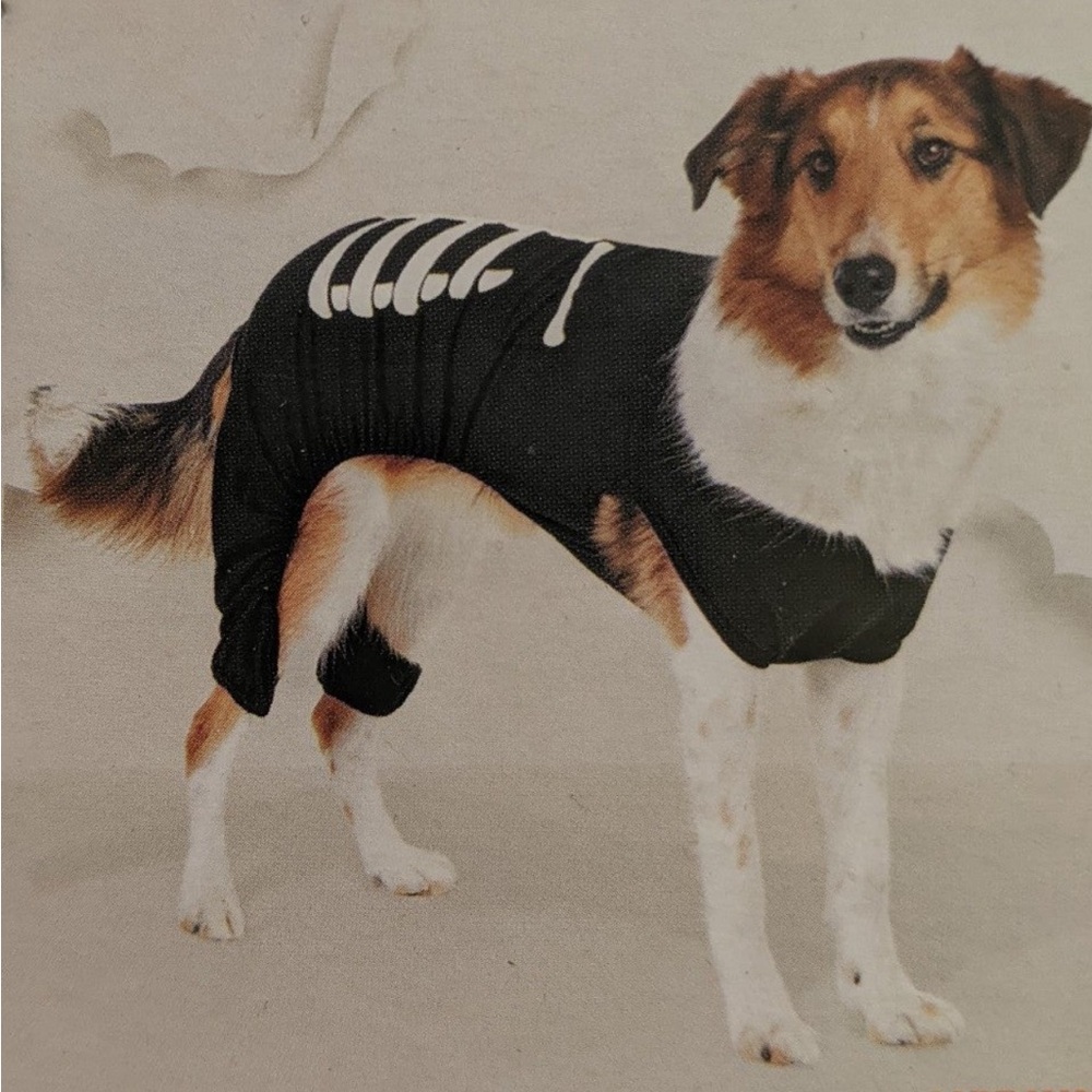 Target Black and White Skeleton Dog Costume